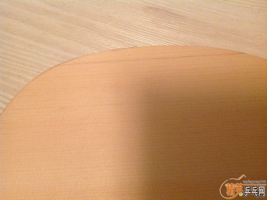 NITTAKU SEPTEAR ߲ľ76ˣ
