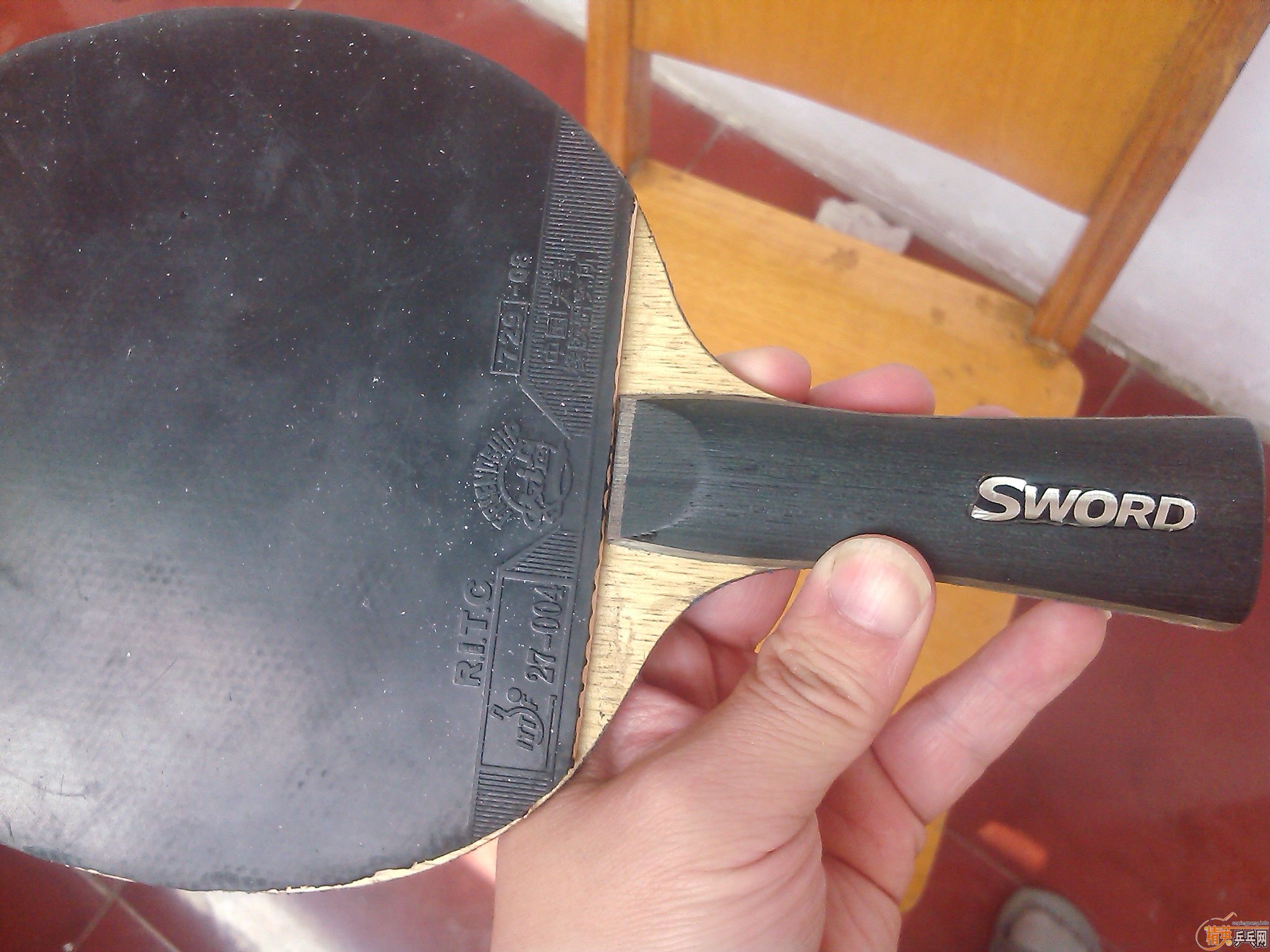 ���µ���ӥ������߳�