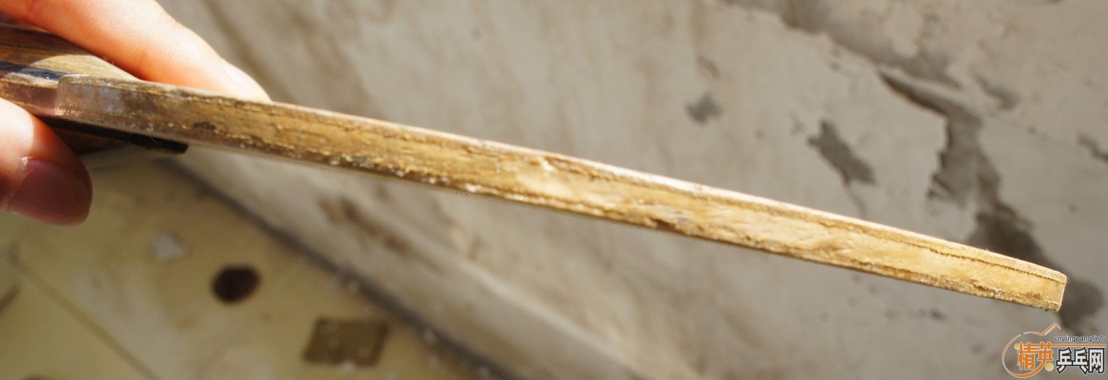 ��������ɫ�ĺ���INN-ZLFʵ��������