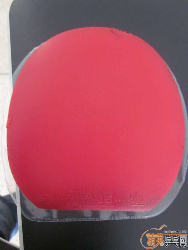 [ԭ��]����39��ʡ��Ͷ����F1��һ�ţ�����һ�����120Ԫ����