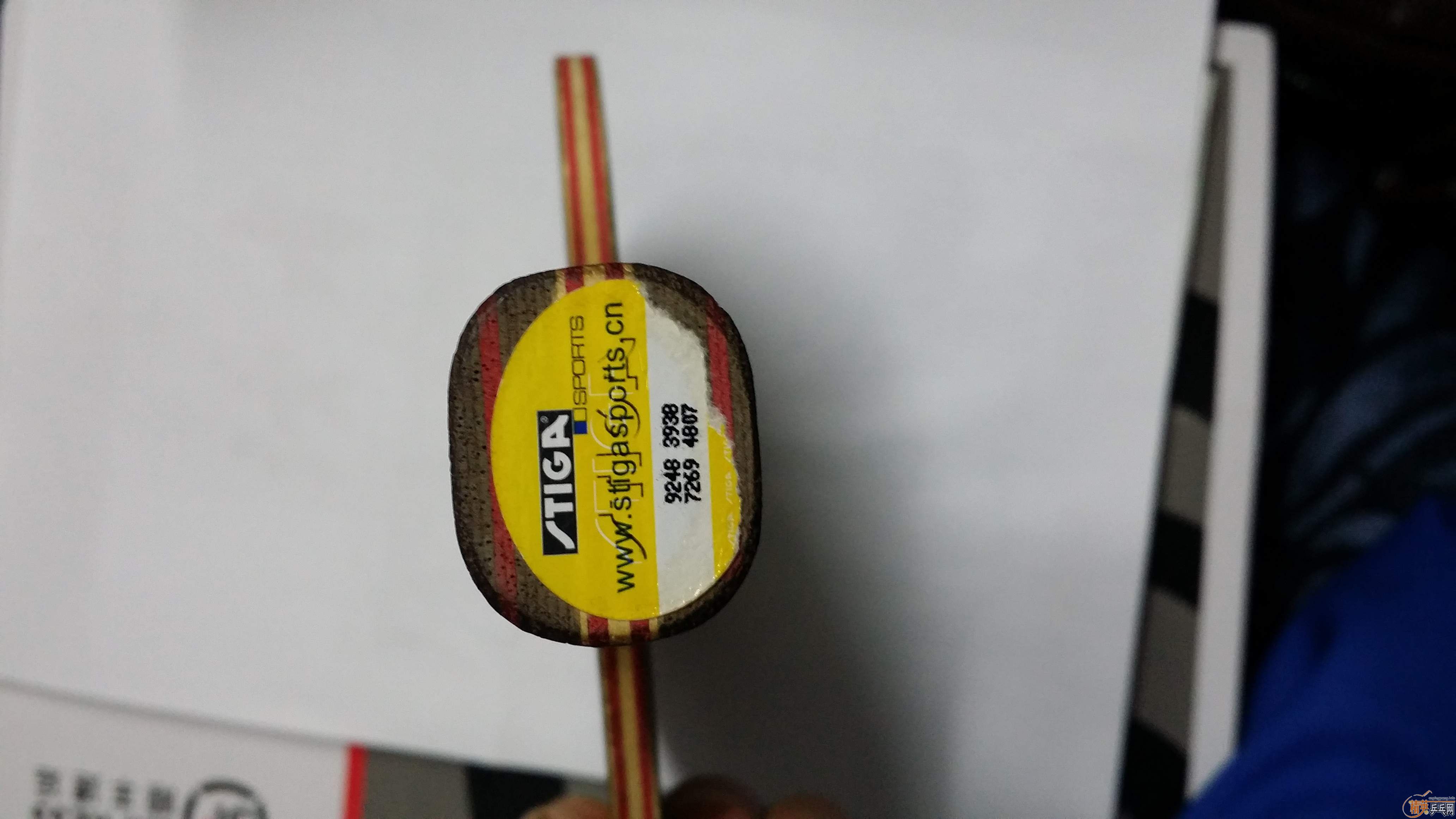 ���Ʊ�CL��