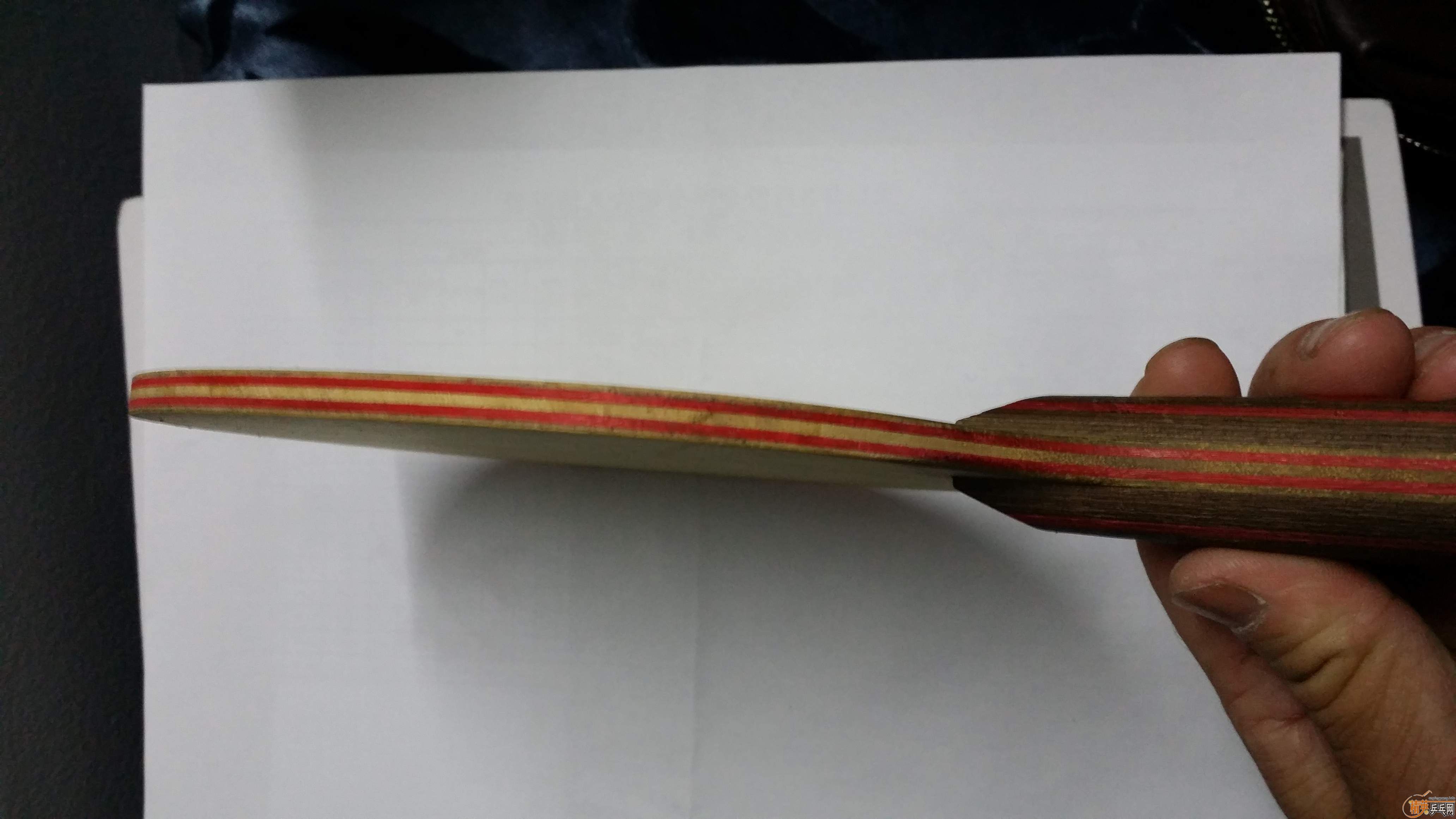 ���Ʊ�CL��