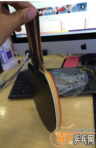 ���������� ���µ£������