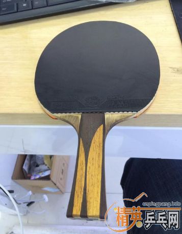 ���������� ���µ£������