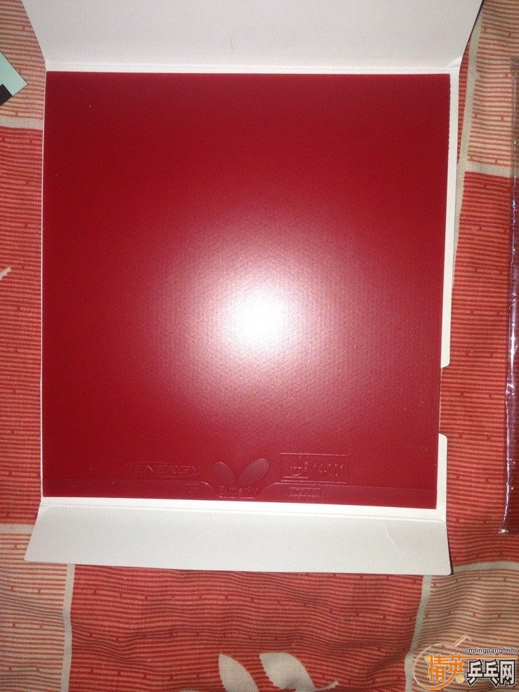 ����T05 ��ɫ 2.1 һ��һ��