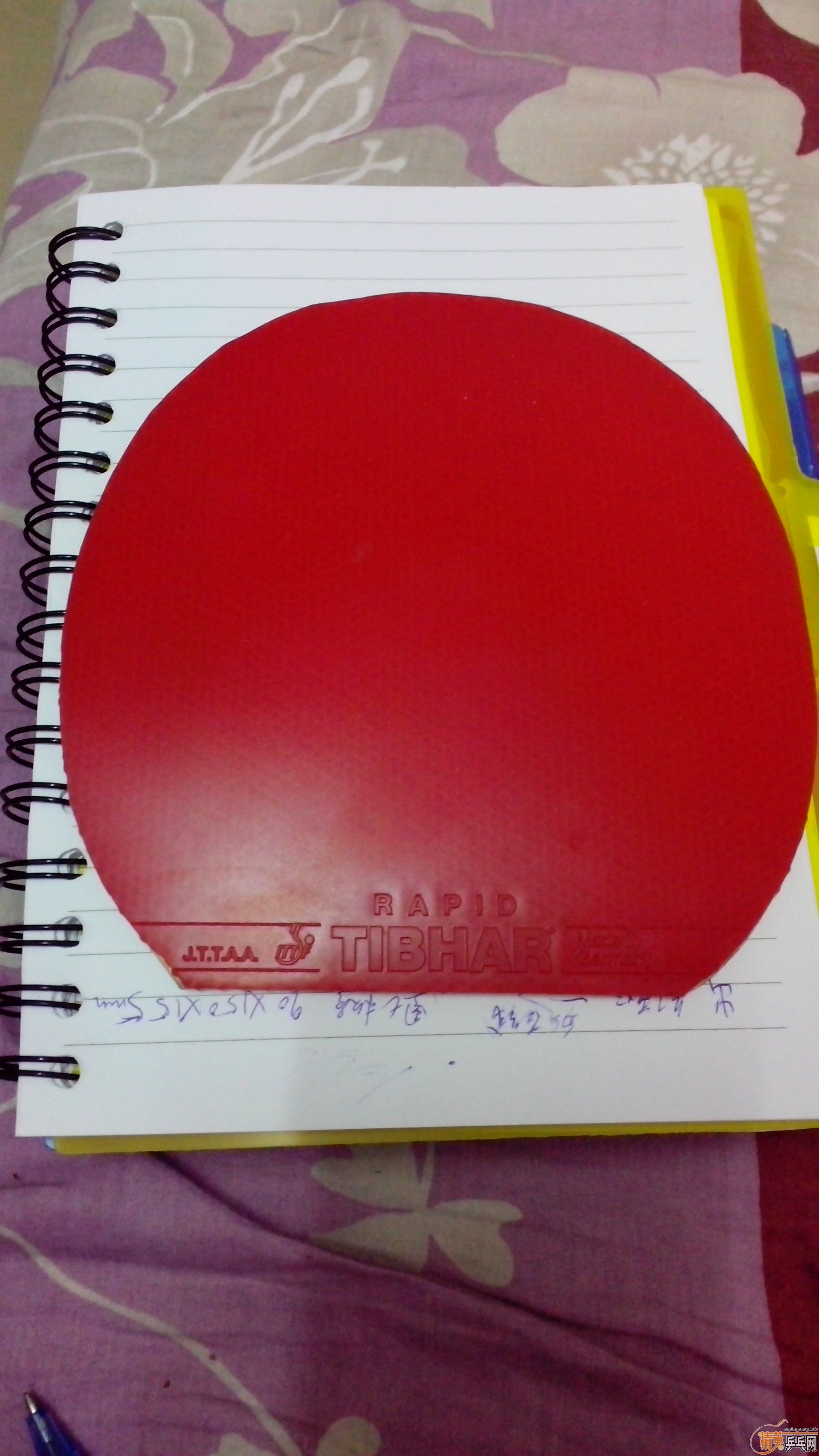 160���ʴ����������εĶ����F2ͦ�������տ��� ƹ�����׽� ��Ϊ��ɫ