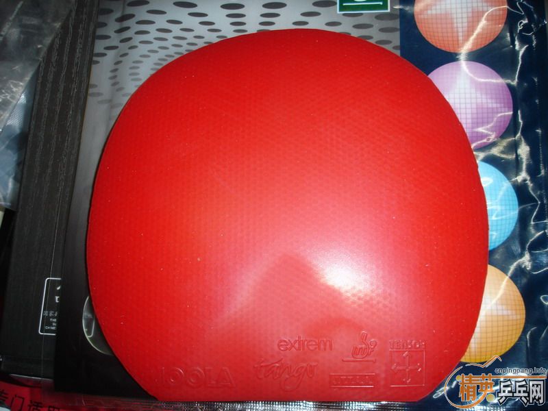 �����ؼ����� ����̽�� ����̽�� JOOLA TANGO EXTREM��100Ԫ