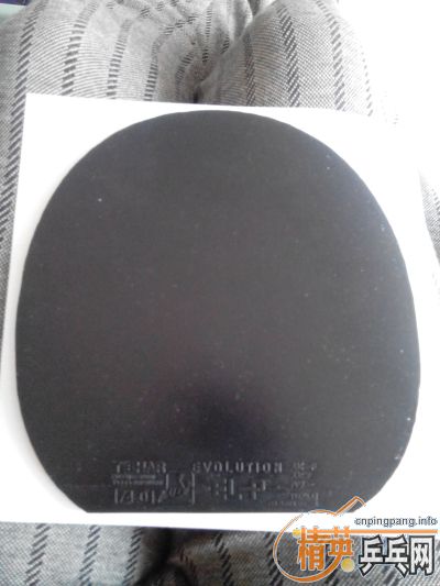 ��EL-P,F1,05,EL,����M1