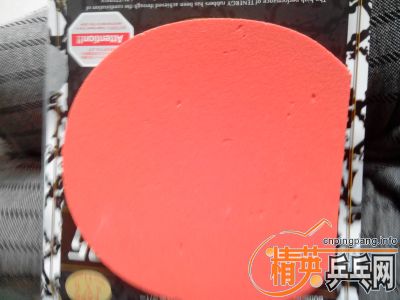 ��EL-P,F1,05,EL,����M1