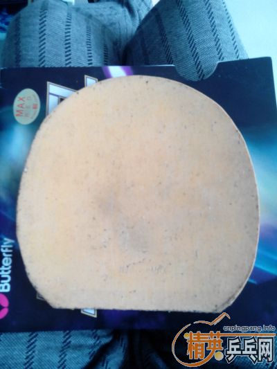 ��EL-P,F1,05,EL,����M1