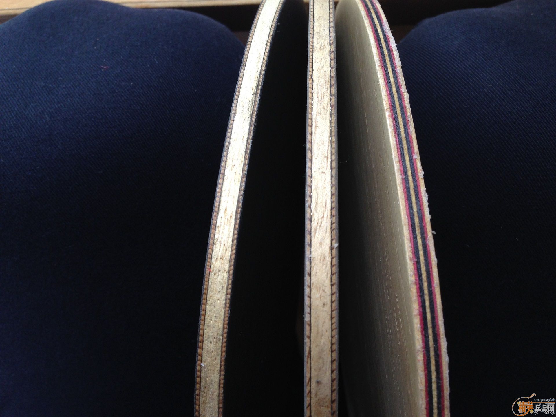 �Լ��ļ�ֻ����  ��ɫ�� ����