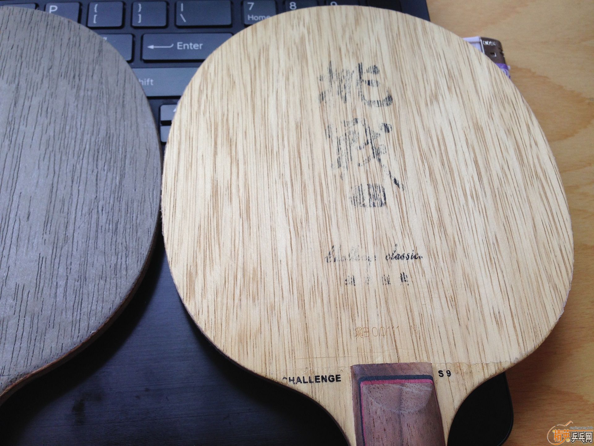 �Լ��ļ�ֻ����  ��ɫ�� ����