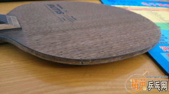 st��Rutis����270���ʷ�Ѫ���ˣ�