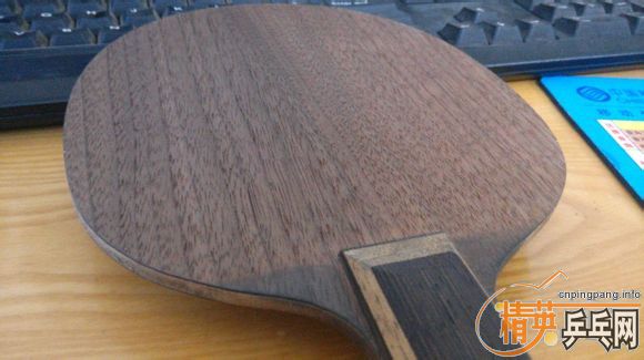 st��Rutis����270���ʷ�Ѫ���ˣ�