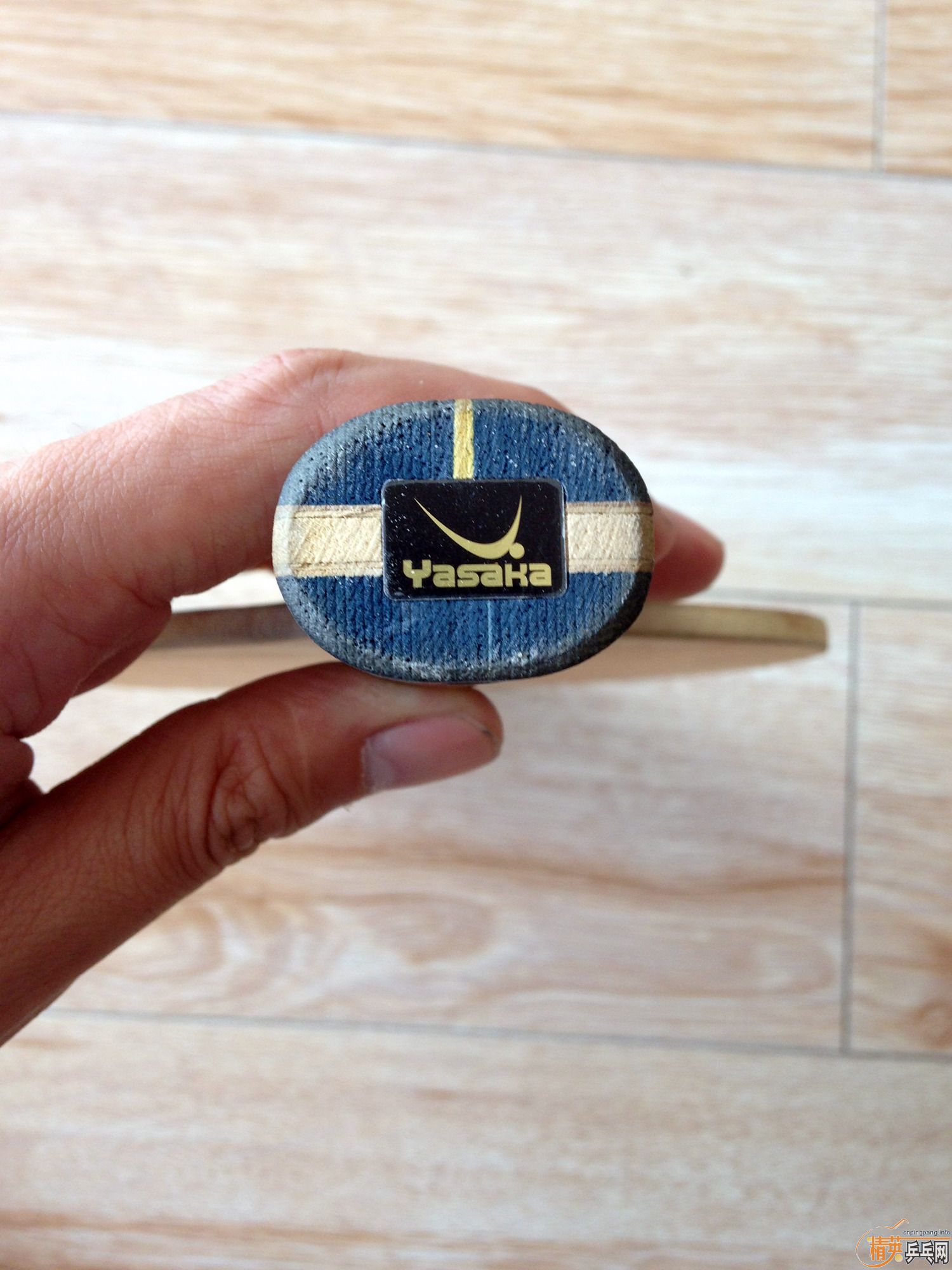 [�ѳ�]9�������л�82g������YASAKA YE~~~~~~~~~~~~~~~~~~~~~~~~~~~~~~~~~~~~