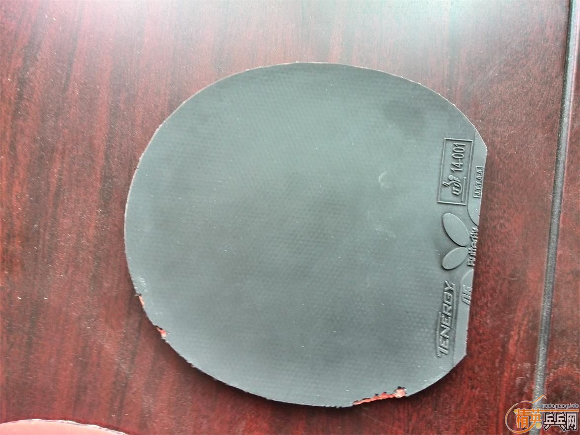 �����ѳ��׽� T05 64 С�� DONIC F1 ���ʡ�� ���ͺ�V