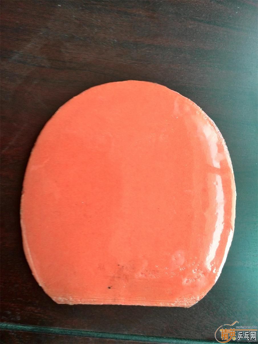 �����ѳ��׽� T05 64 С�� DONIC F1 ���ʡ�� ���ͺ�V