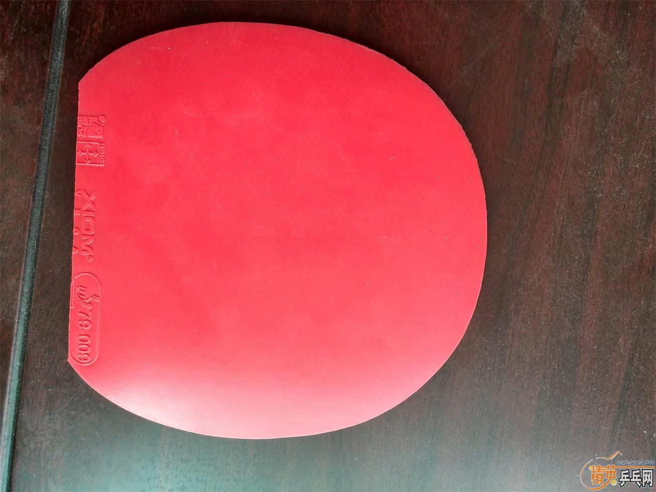 �����ѳ��׽� T05 64 С�� DONIC F1 ���ʡ�� ���ͺ�V