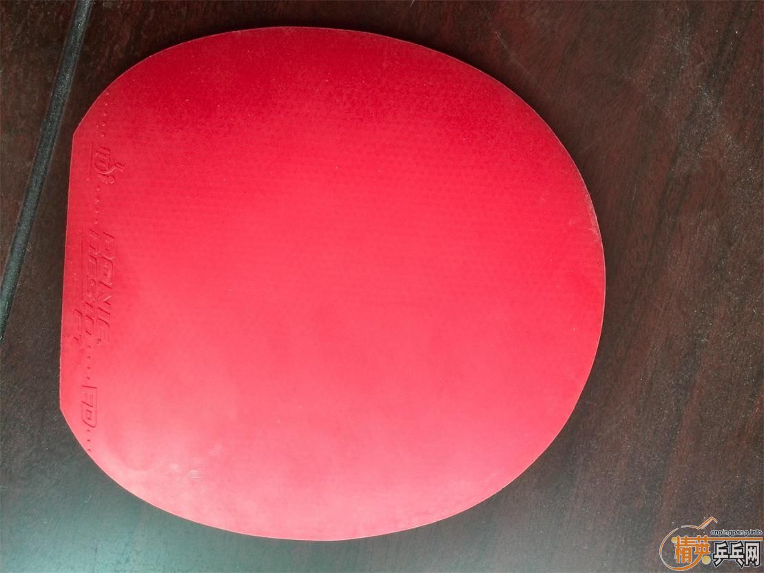 �����ѳ��׽� T05 64 С�� DONIC F1 ���ʡ�� ���ͺ�V