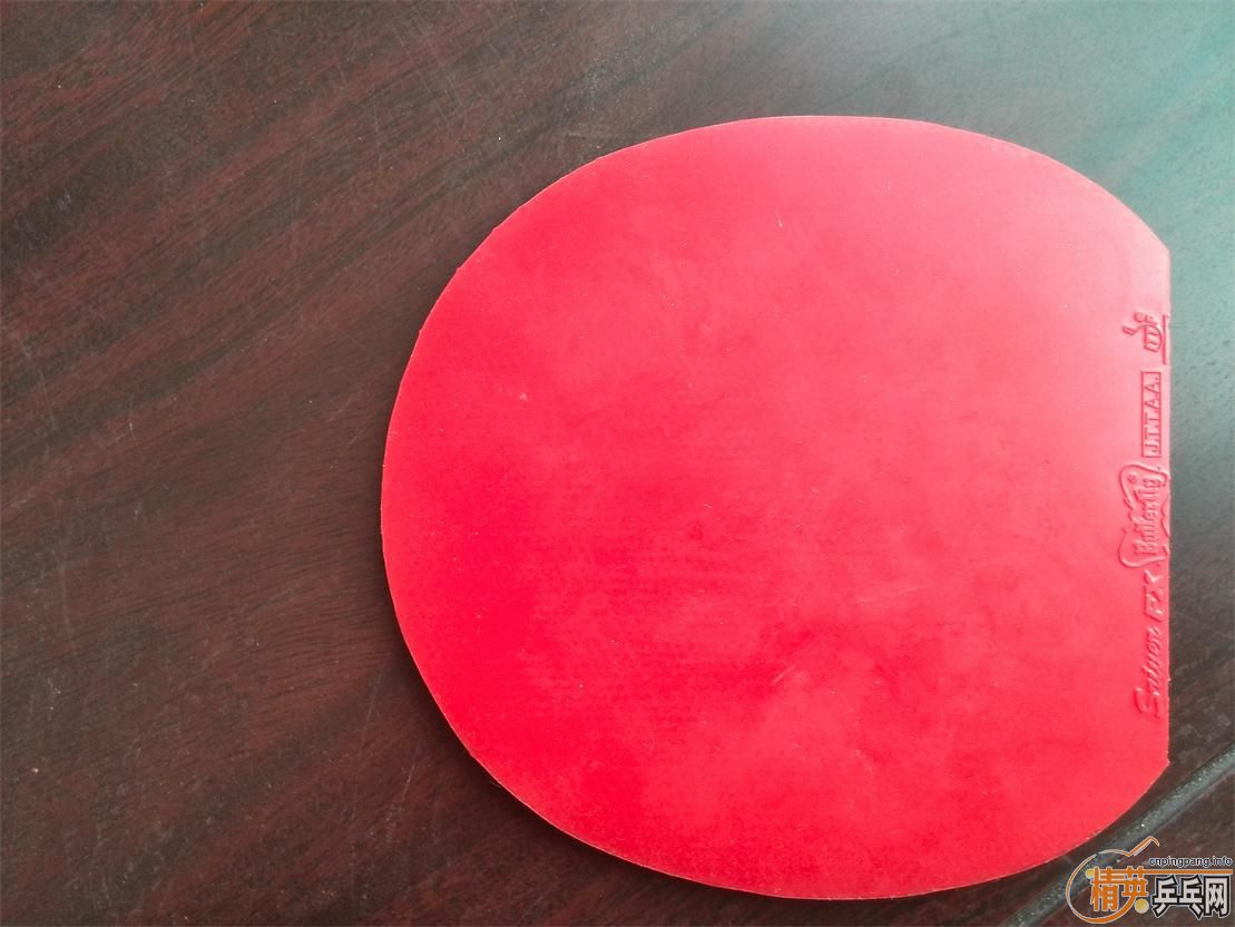 �����ѳ��׽� T05 64 С�� DONIC F1 ���ʡ�� ���ͺ�V