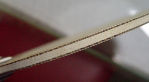 NoctuRne��_----��λ�ֵ����мҰ���