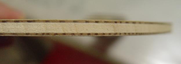 NoctuRne��_----��λ�ֵ����мҰ���