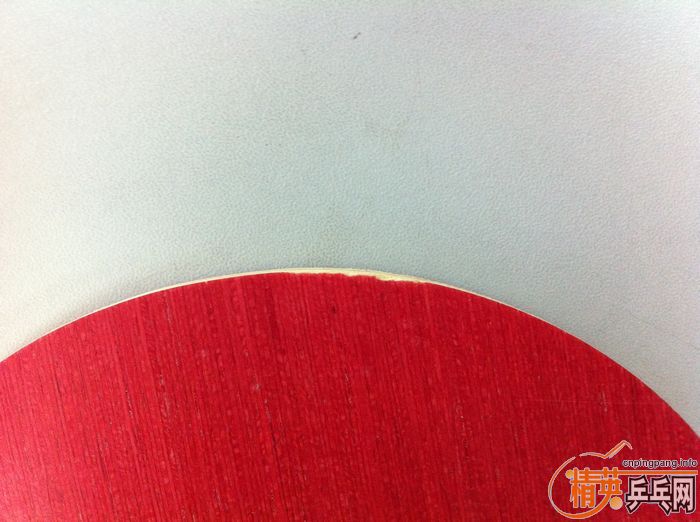 [����]��һ֧9.5��STIGA ��ˮ��