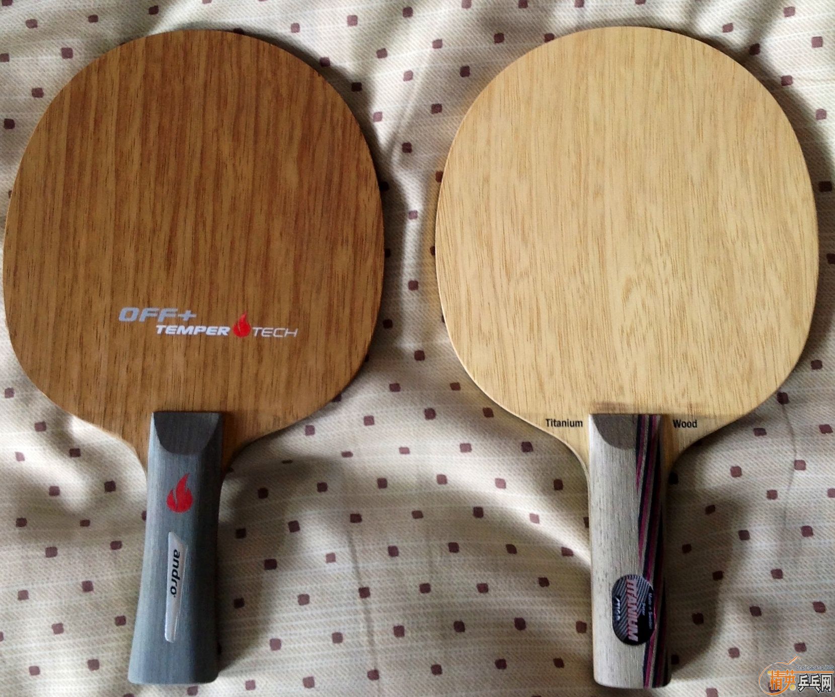 ��ŷ���ѽ������ѽ����в�ģ���5.4���Ͱ���̼��off+