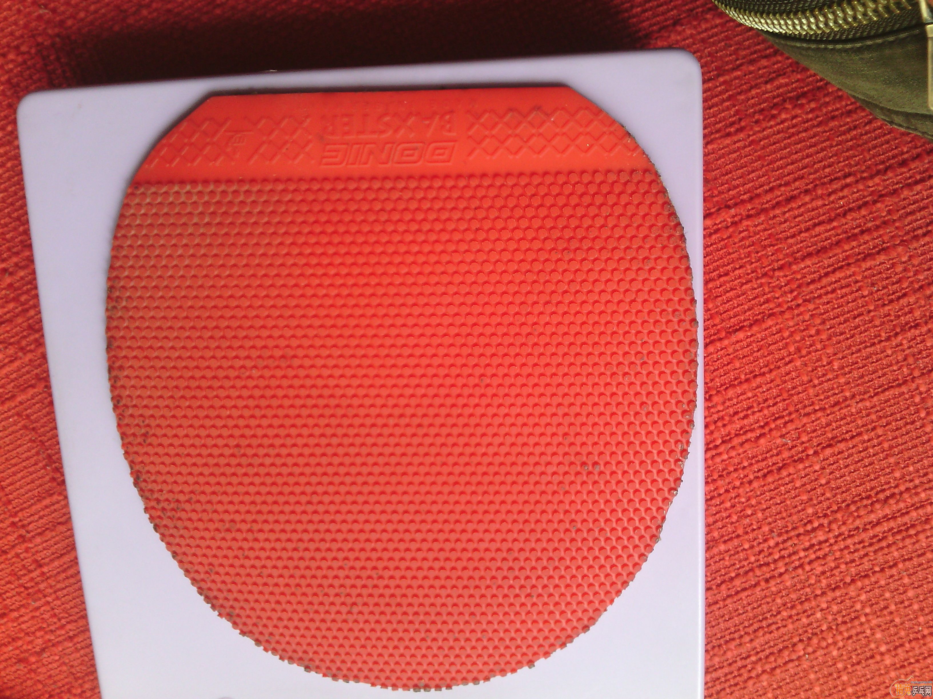 [ԭ��][ԭ��]����Ӣ�л������𣨴����ã�