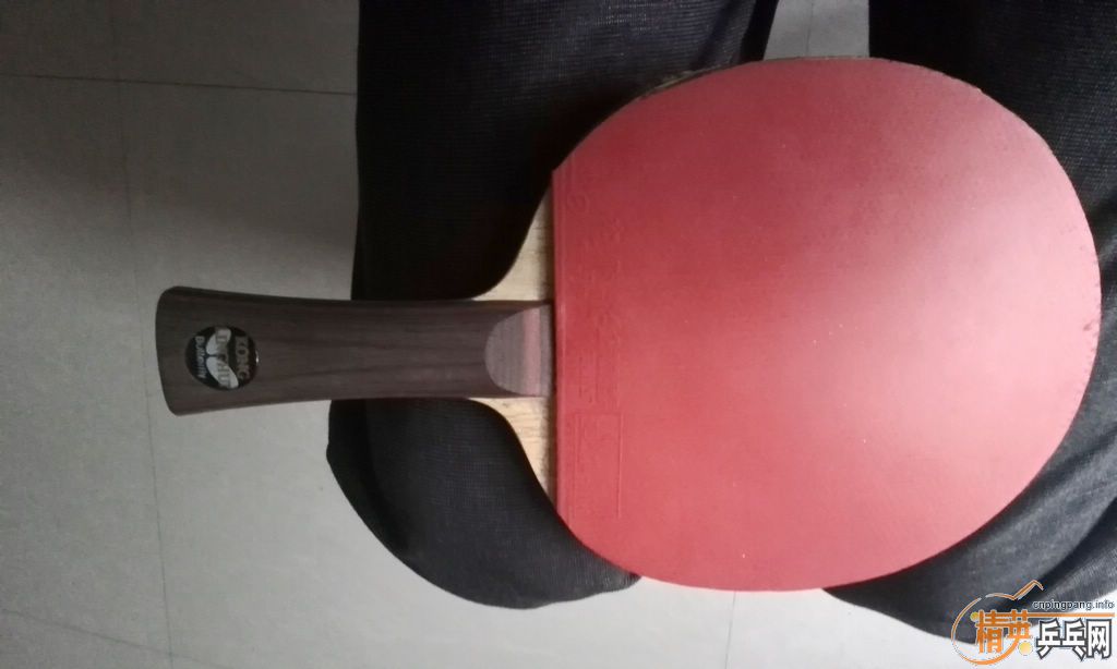 ��ľ���տ�F1���ˣ�����������