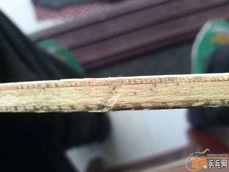 ��ľ���տ�F1���ˣ�����������