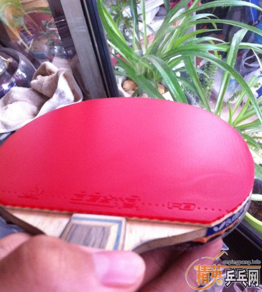 ���ų���2.0��ȵ�F1