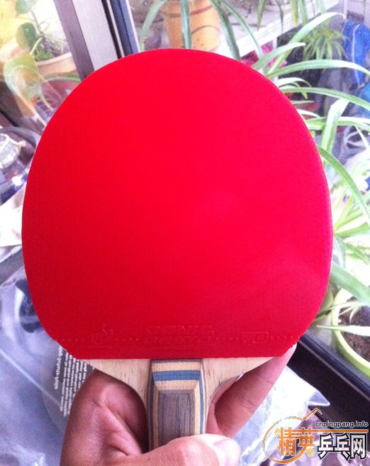 ���ų���2.0��ȵ�F1��������������