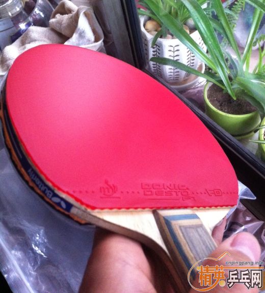 ���ų���2.0���F1�׽�����