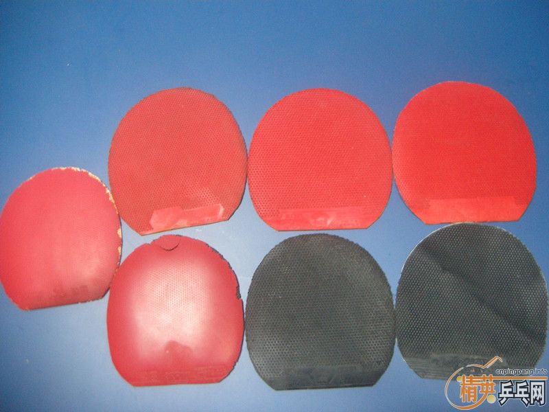 �ײ˼۳�һ�������׽���������������������