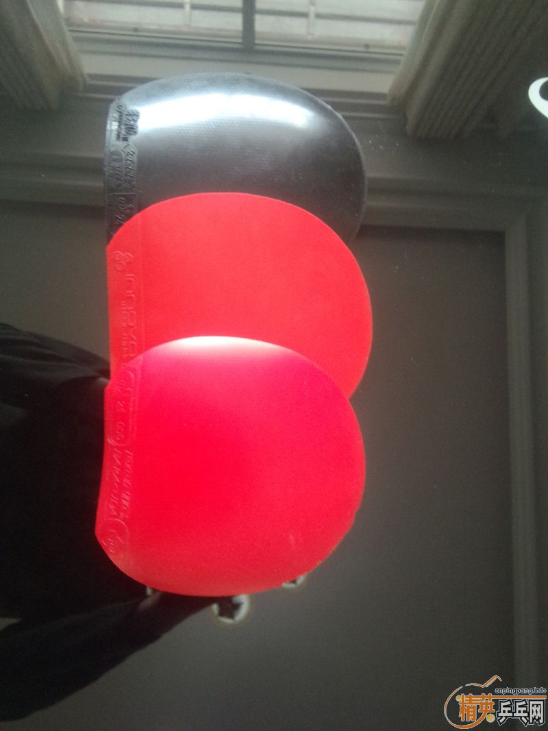 ����������ʡ��39�ڣ�˹�ٿ�����һŵ���죬����˰������