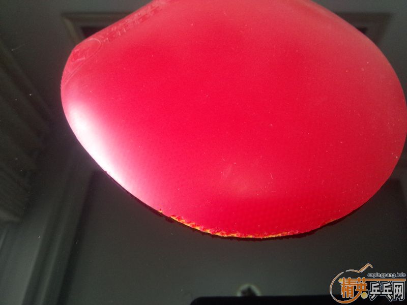 ����������ʡ��39�ڣ�˹�ٿ�����һŵ���죬����˰������