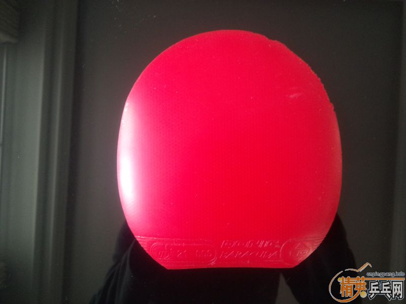 ����������ʡ��39�ڣ�˹�ٿ�����һŵ���죬����˰������