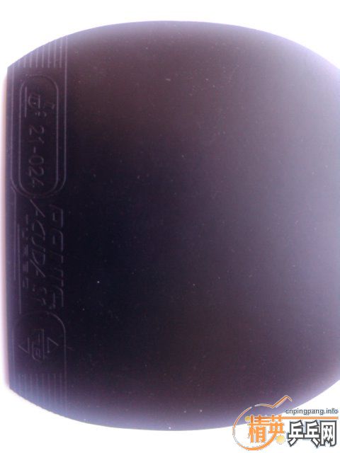 ���˳�һ�������׽���������ʣ�Ҳ�ɻ������ ��T64��˹�Ͽ�LT��