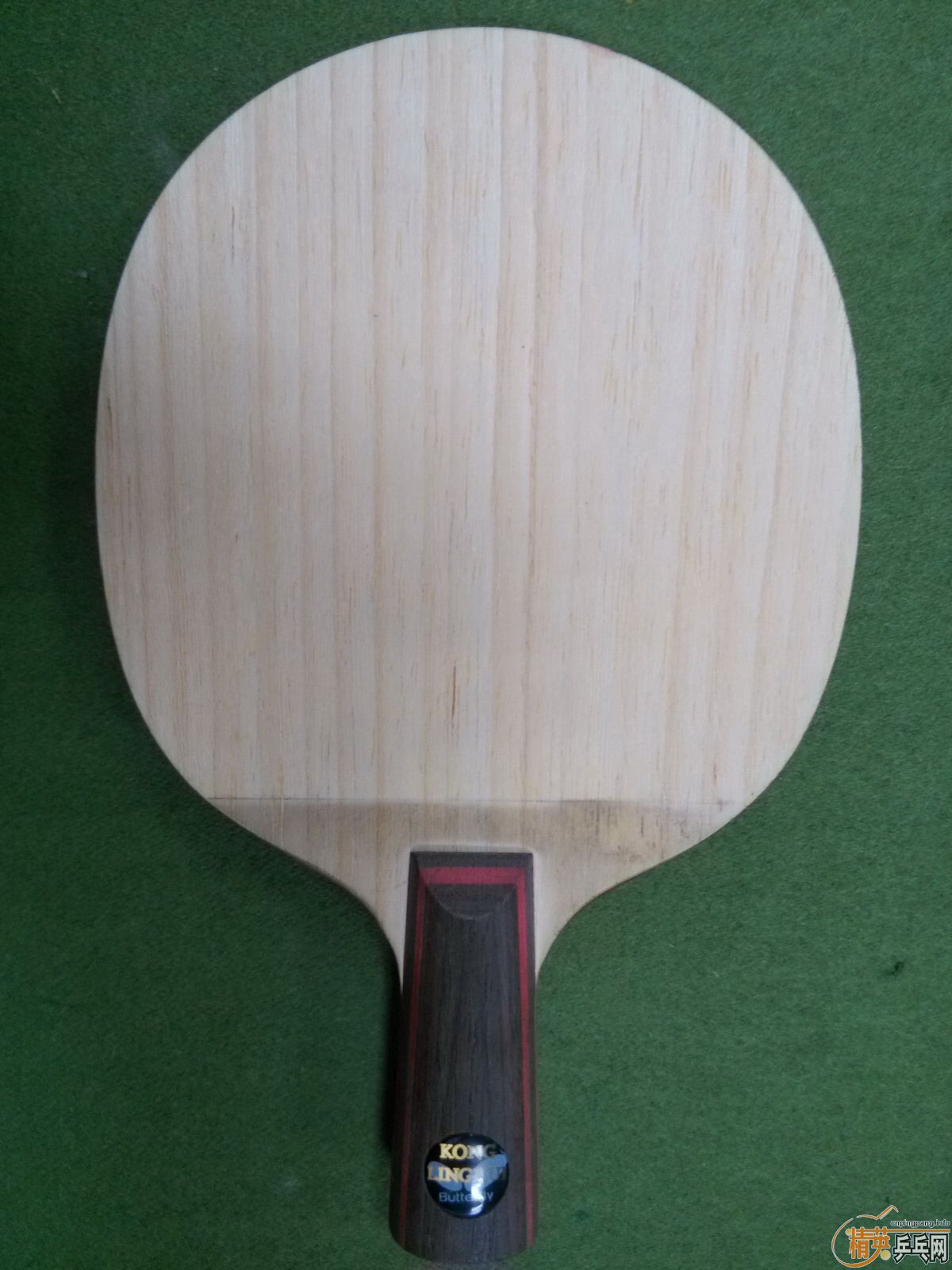 �����ѳ��л�������ľ9.5�¿����