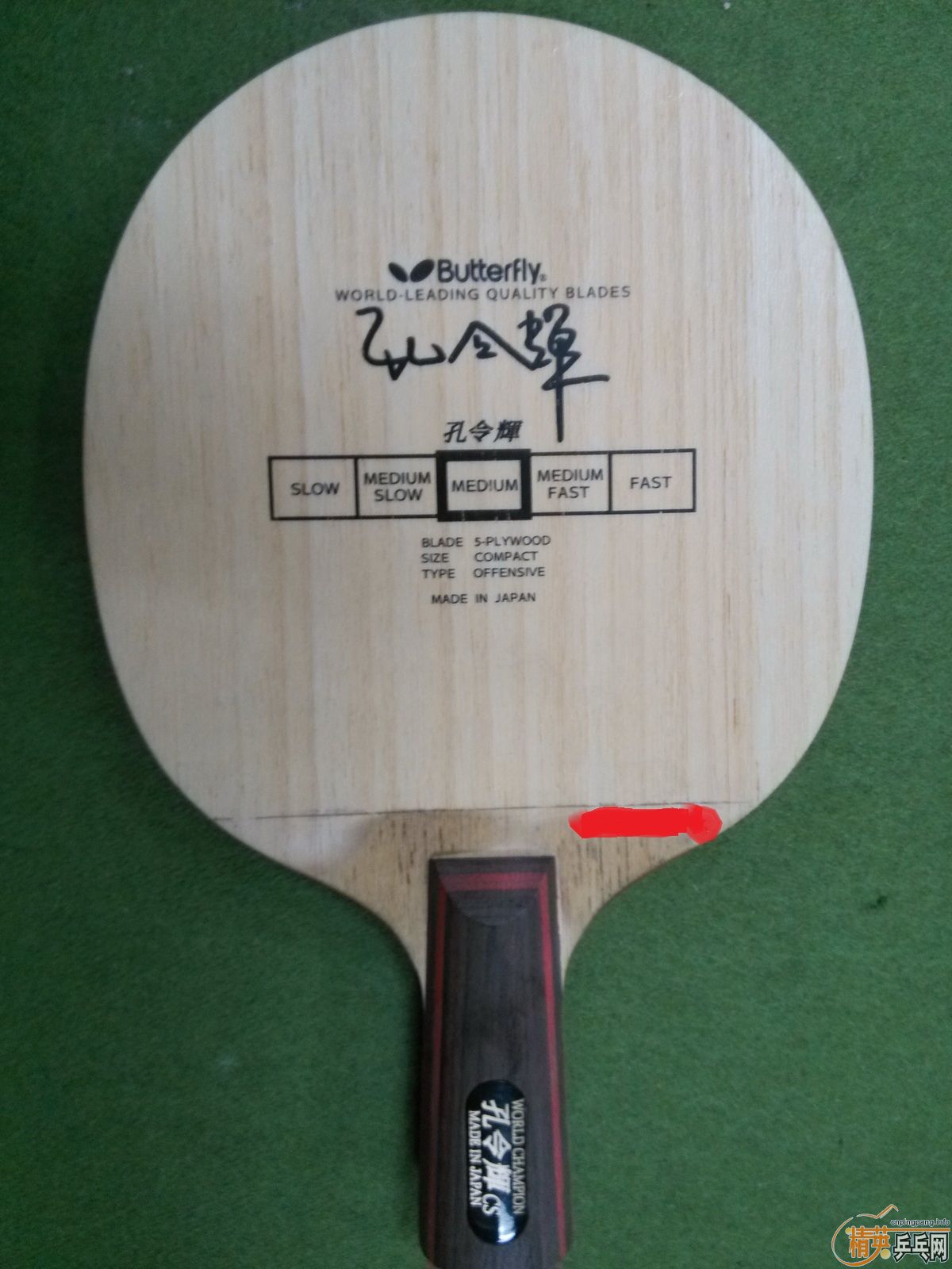 �����ѳ��л�������ľ9.5�¿����