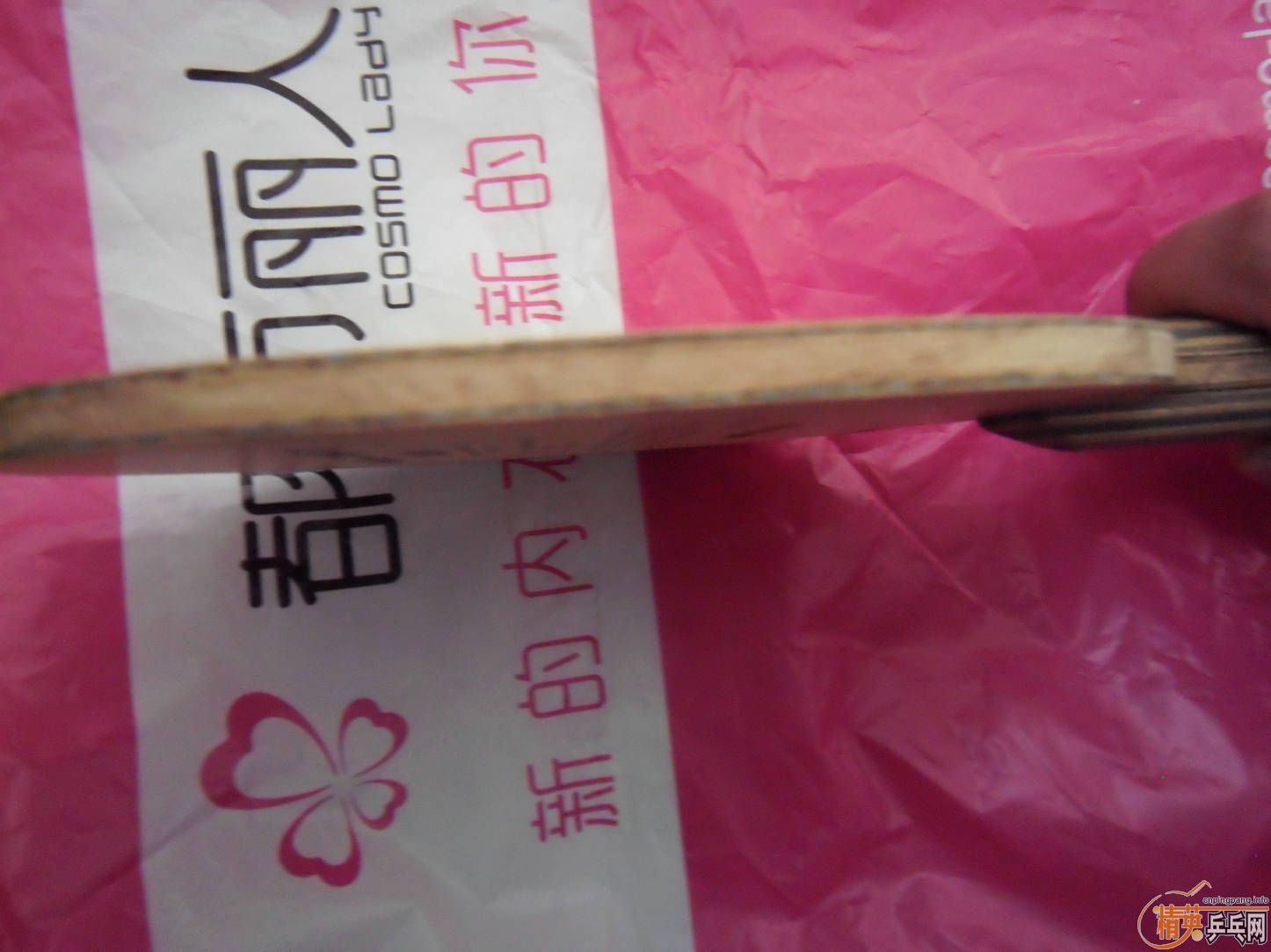 �����޿������ֺ�������