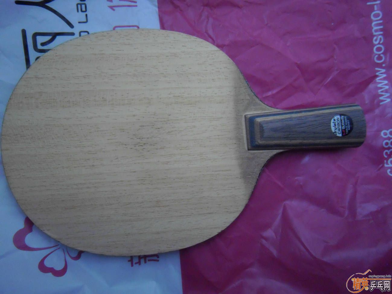 �����޿������ֺ�������