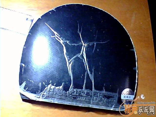 ������ʡ�񡣿�8.t05