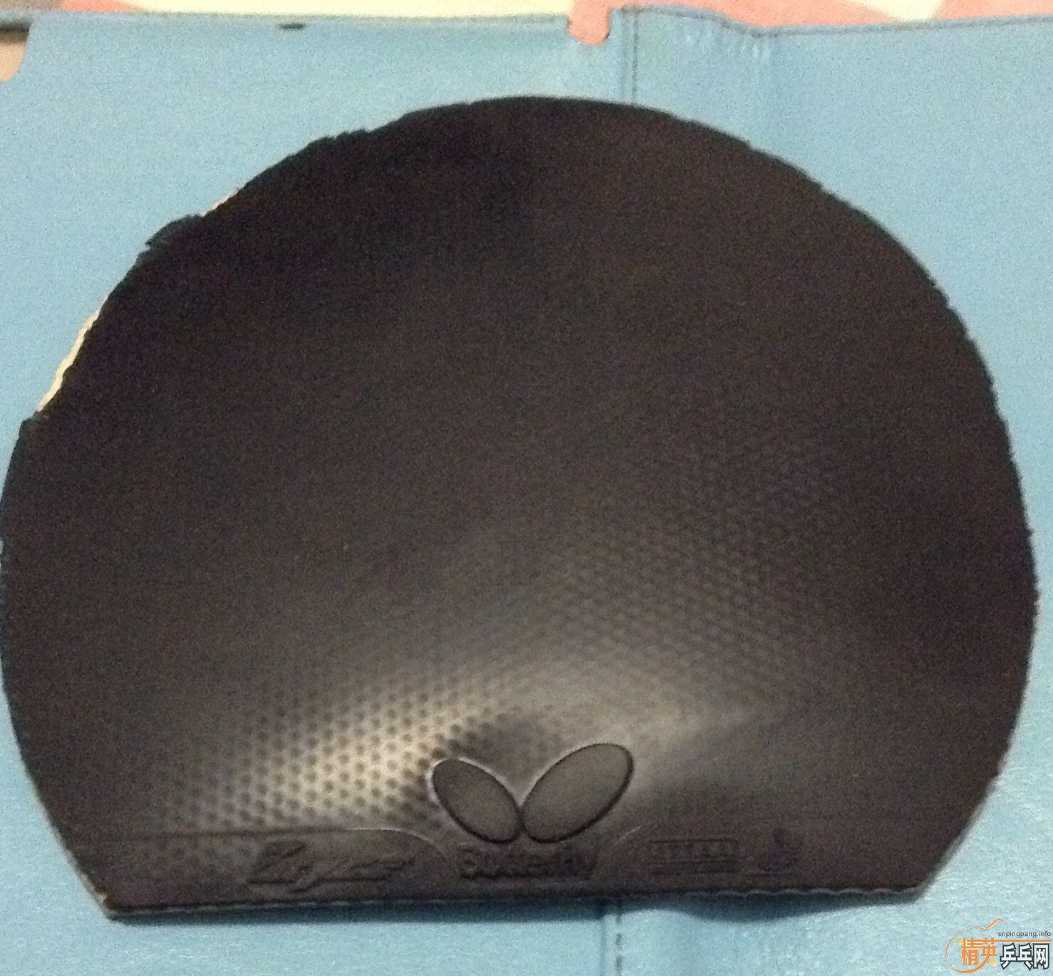 �������Դ�Ƥ����ͺ�˹����FL