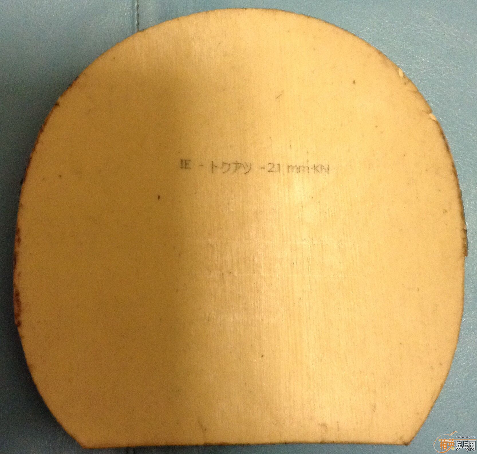 �������Դ�Ƥ����ͺ�˹����FL