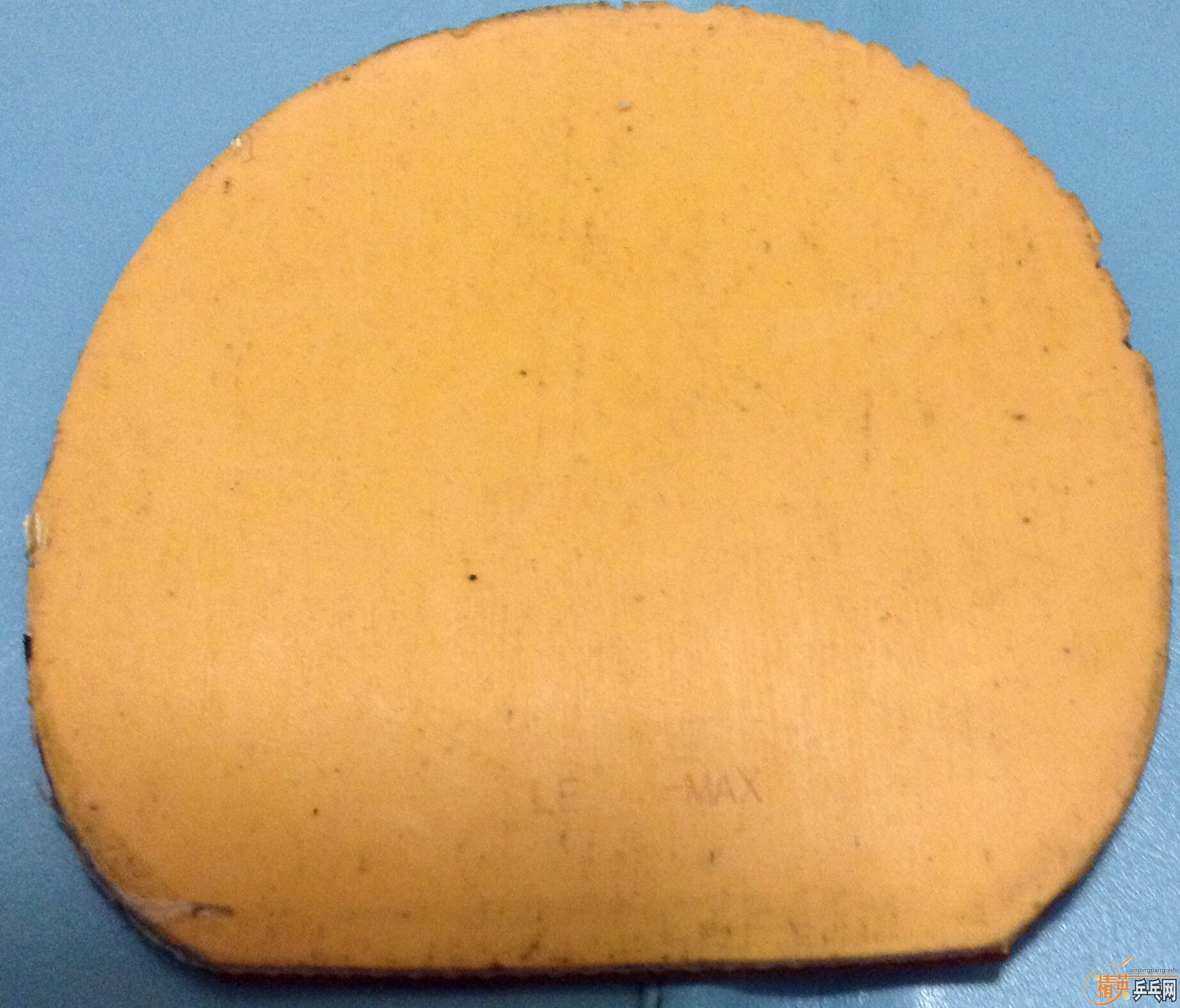 �������Դ�Ƥ����ͺ�˹����FL