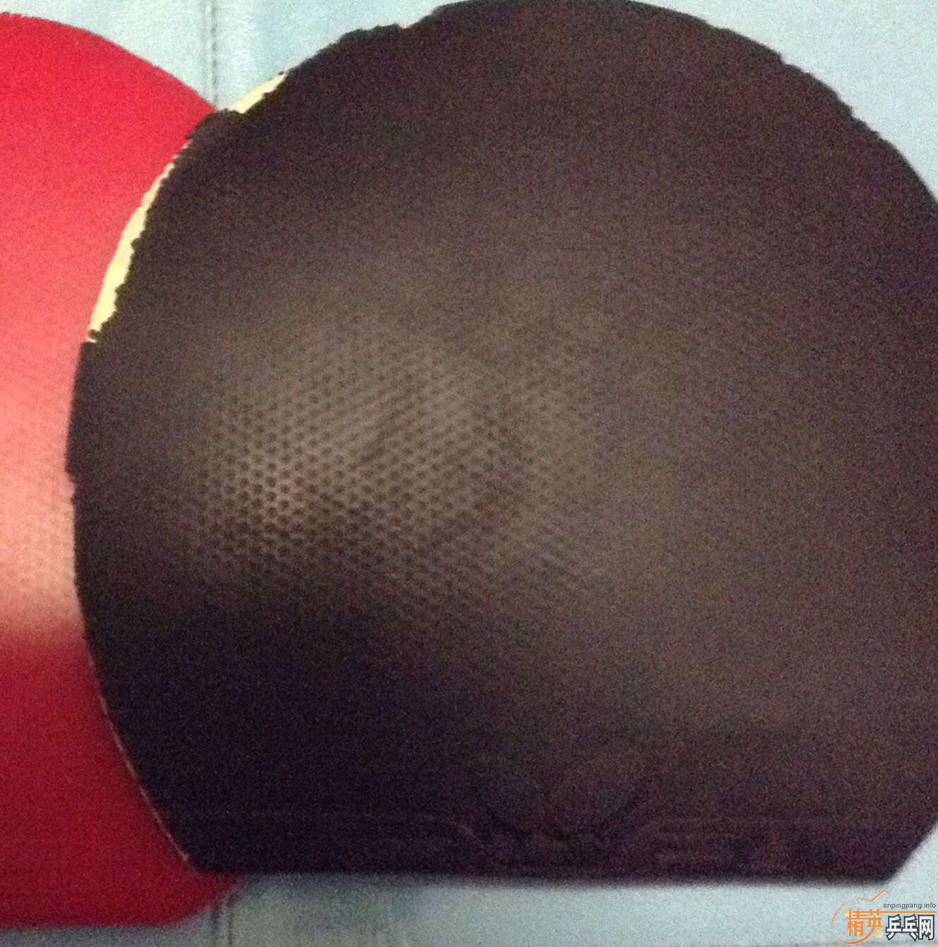 �������Դ�Ƥ����ͺ�˹����FL