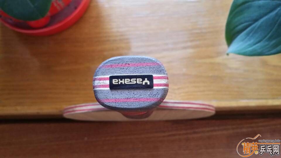 �������հ�CL