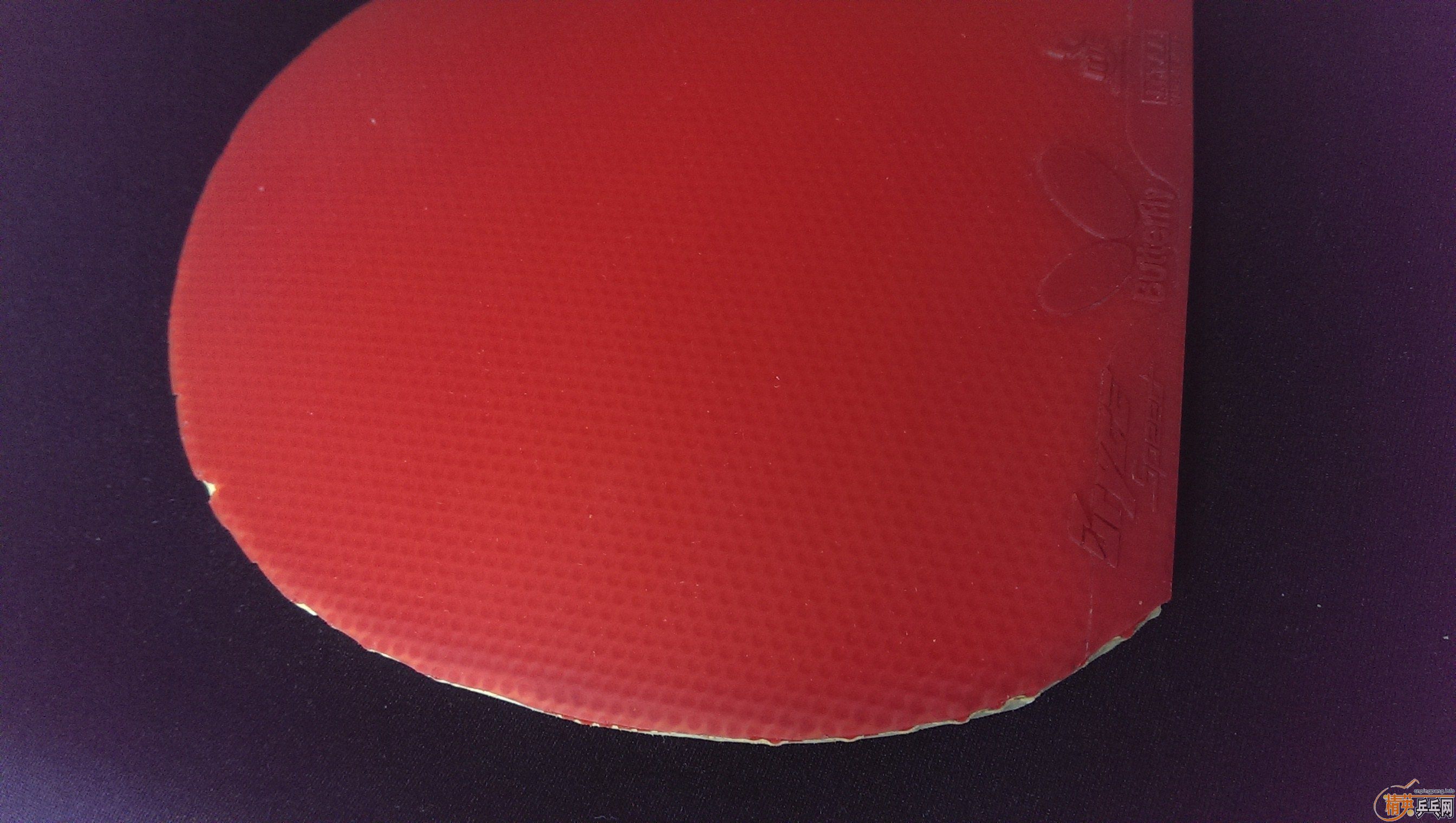 ������brycespeed �� 120Ԫ�������F2�� 60Ԫ